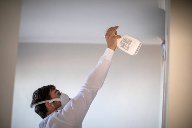 Best Mold Remediation  in Oldsmar, FL